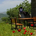 Chri Chri Guesthouse